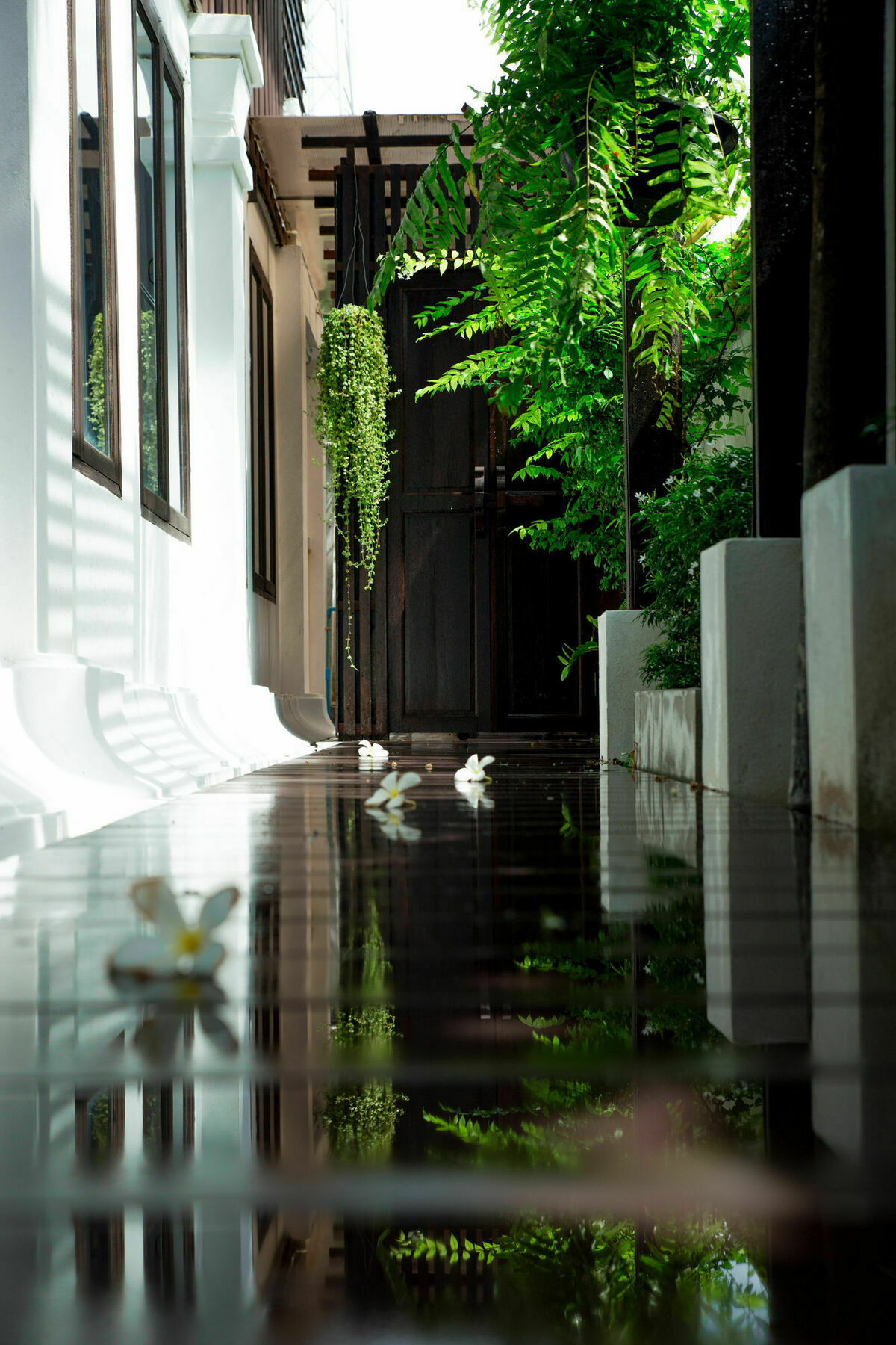 Rachamankha Thai Villa Chiang Mai Luaran gambar